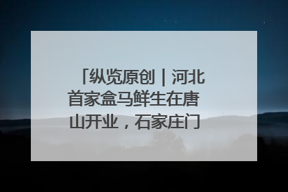 纵览原创｜河北首家盒马鲜生在唐山开业，石家庄门店预计8月开业
