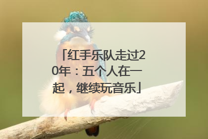 红手乐队走过20年：五个人在一起，继续玩音乐