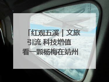红观五溪｜文旅引流 科技增值 看一颗杨梅在靖州的“商业觉醒”