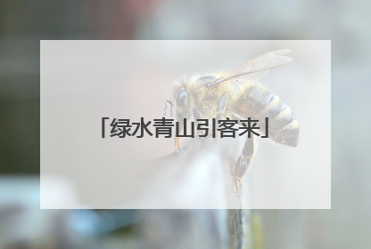 绿水青山引客来