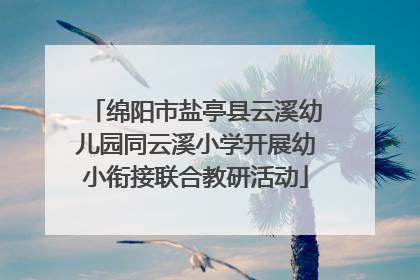 绵阳市盐亭县云溪幼儿园同云溪小学开展幼小衔接联合教研活动
