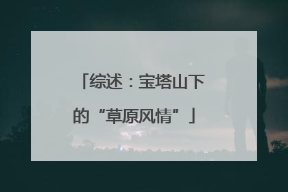 综述：宝塔山下的“草原风情”