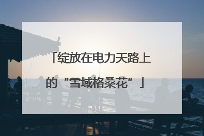 绽放在电力天路上的“雪域格桑花”