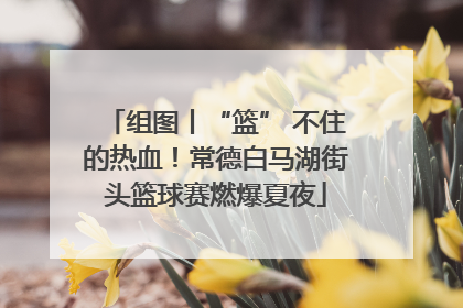组图丨“篮” 不住的热血！常德白马湖街头篮球赛燃爆夏夜