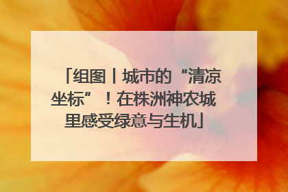 组图丨城市的“清凉坐标”！在株洲神农城里感受绿意与生机
