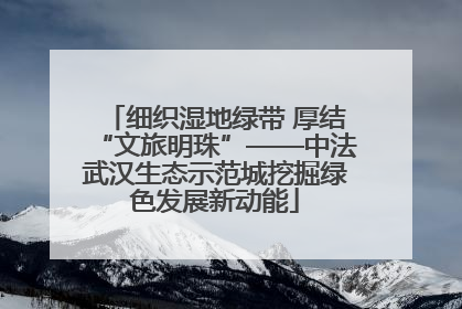 细织湿地绿带 厚结“文旅明珠”——中法武汉生态示范城挖掘绿色发展新动能