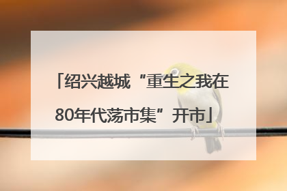 绍兴越城“重生之我在80年代荡市集”开市