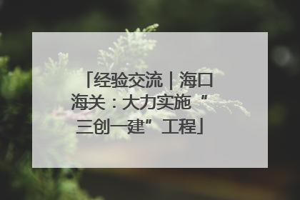 经验交流｜海口海关：大力实施“三创一建”工程