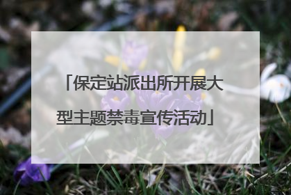 保定站派出所开展大型主题禁毒宣传活动
