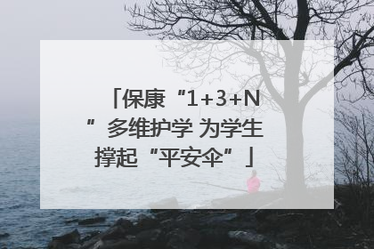 保康“1+3+N”多维护学 为学生撑起“平安伞”