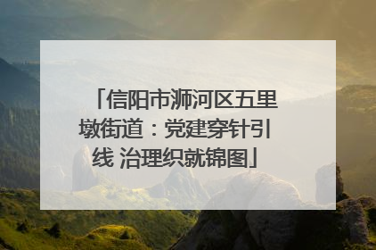 信阳市浉河区五里墩街道：党建穿针引线 治理织就锦图