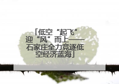 低空“起飞” 迎“风”而上——石家庄全力竞逐低空经济蓝海