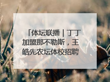 体坛联播｜丁丁加盟那不勒斯，王皓先农坛体校招聘笔试第一