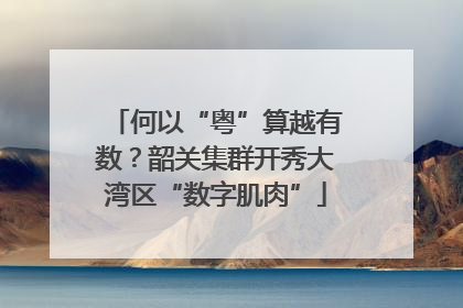 何以“粤”算越有数？韶关集群开秀大湾区“数字肌肉”