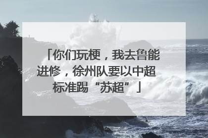 你们玩梗，我去鲁能进修，徐州队要以中超标准踢“苏超”