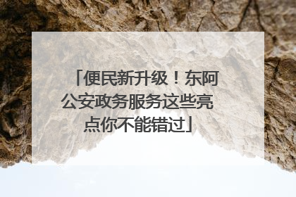 便民新升级！东阿公安政务服务这些亮点你不能错过