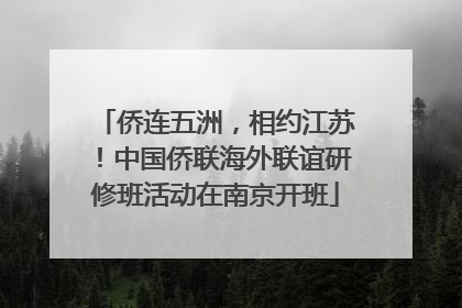 侨连五洲，相约江苏！中国侨联海外联谊研修班活动在南京开班