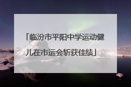 临汾市平阳中学运动健儿在市运会斩获佳绩