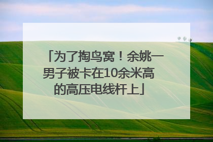为了掏鸟窝！余姚一男子被卡在10余米高的高压电线杆上