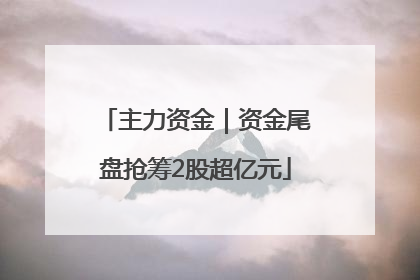主力资金｜资金尾盘抢筹2股超亿元