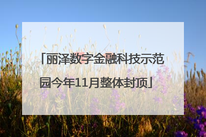 丽泽数字金融科技示范园今年11月整体封顶