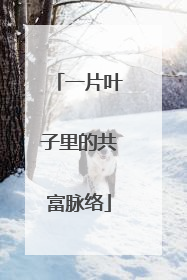 一片叶子里的共富脉络