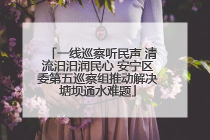 一线巡察听民声 清流汨汨润民心 安宁区委第五巡察组推动解决塘坝通水难题