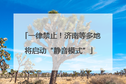 一律禁止！济南等多地将启动“静音模式”