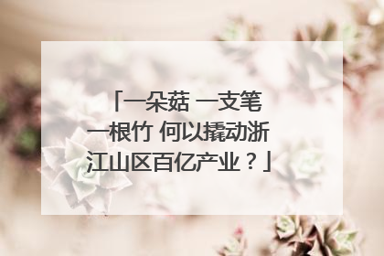 一朵菇 一支笔 一根竹 何以撬动浙江山区百亿产业？