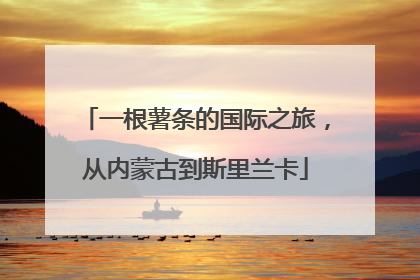 一根薯条的国际之旅，从内蒙古到斯里兰卡