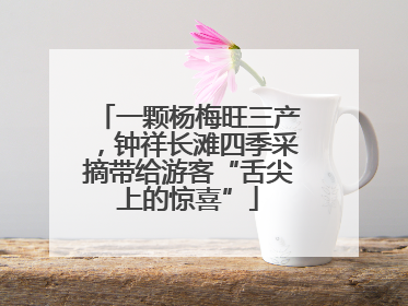 一颗杨梅旺三产，钟祥长滩四季采摘带给游客“舌尖上的惊喜”