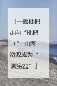 一颗枇杷走向“枇杷+” 山海资源成为“聚宝盆”