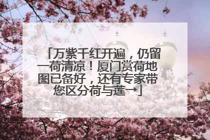 万紫千红开遍，仍留一荷清凉！厦门赏荷地图已备好，还有专家带您区分荷与莲→