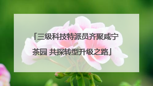 三级科技特派员齐聚咸宁茶园 共探转型升级之路