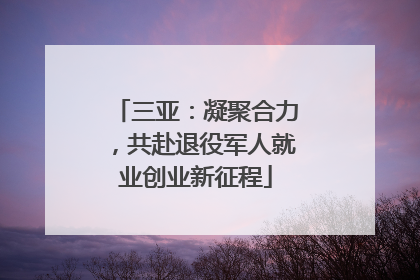 三亚：凝聚合力，共赴退役军人就业创业新征程