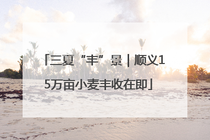 三夏“丰”景｜顺义15万亩小麦丰收在即