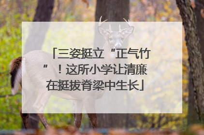 三姿挺立“正气竹”！这所小学让清廉在挺拔脊梁中生长