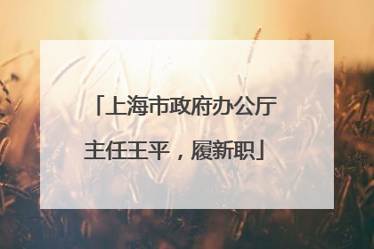 上海市政府办公厅主任王平，履新职