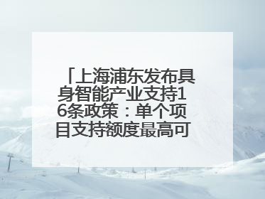 上海浦东发布具身智能产业支持16条政策：单个项目支持额度最高可达亿级