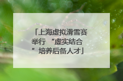 上海虚拟滑雪赛举行 “虚实结合”培养后备人才