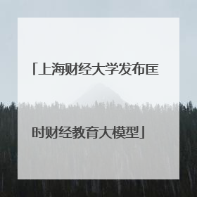 上海财经大学发布匡时财经教育大模型