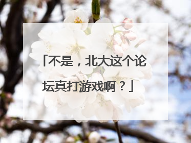 不是，北大这个论坛真打游戏啊？