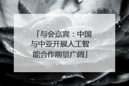 与会嘉宾：中国与中亚开展人工智能合作前景广阔