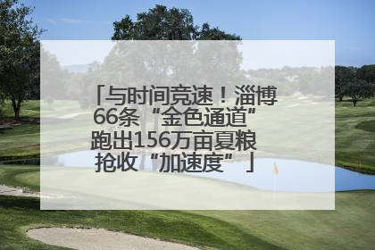 与时间竞速！淄博66条“金色通道”跑出156万亩夏粮抢收“加速度”