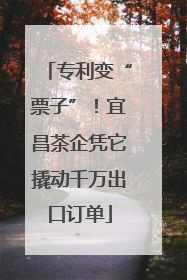 专利变“票子”！宜昌茶企凭它撬动千万出口订单