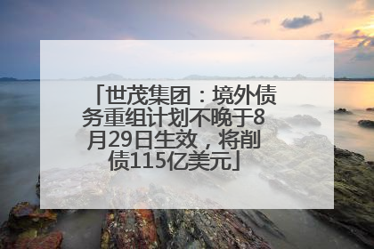 世茂集团：境外债务重组计划不晚于8月29日生效，将削债115亿美元