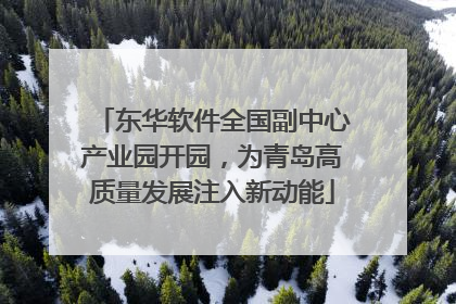 东华软件全国副中心产业园开园，为青岛高质量发展注入新动能
