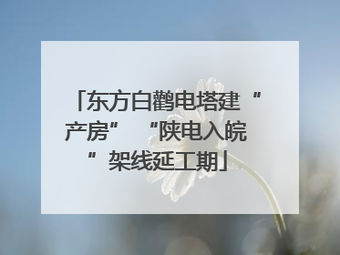 东方白鹳电塔建“产房” “陕电入皖”架线延工期