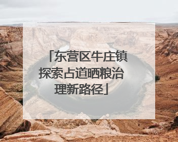 东营区牛庄镇探索占道晒粮治理新路径