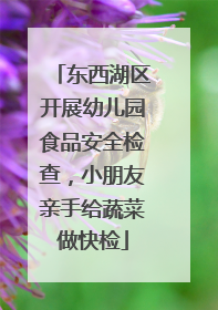 东西湖区开展幼儿园食品安全检查，小朋友亲手给蔬菜做快检